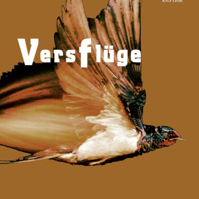 Detail aus dem Buchcover: „Versflüge. Lyrikanthologie für Hartwig Mauritz“ (Verlag Ralf Liebe, April 2024)